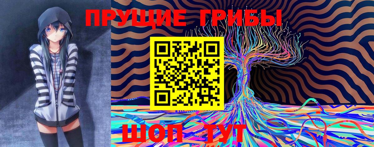 Галлюциногенные грибы мухоморы  Вход с VPN  Кандалакша  Псилоцибиновые грибы GOLDEN TEACHER 
