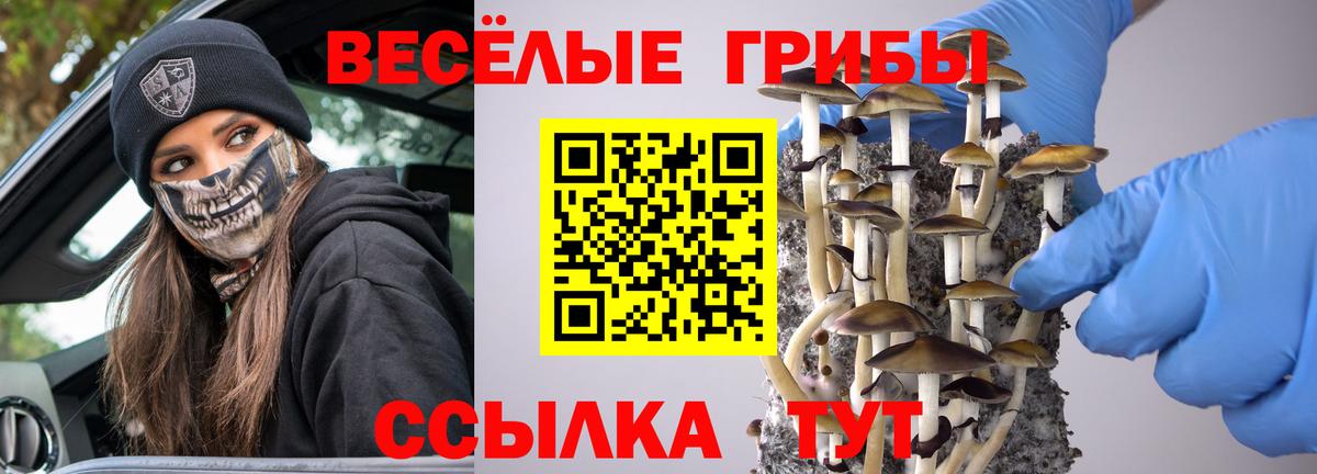 Галлюциногенные грибы мухоморы Кандалакша